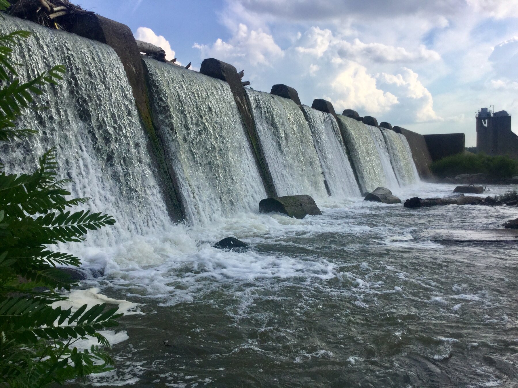 Falls of the Ohio