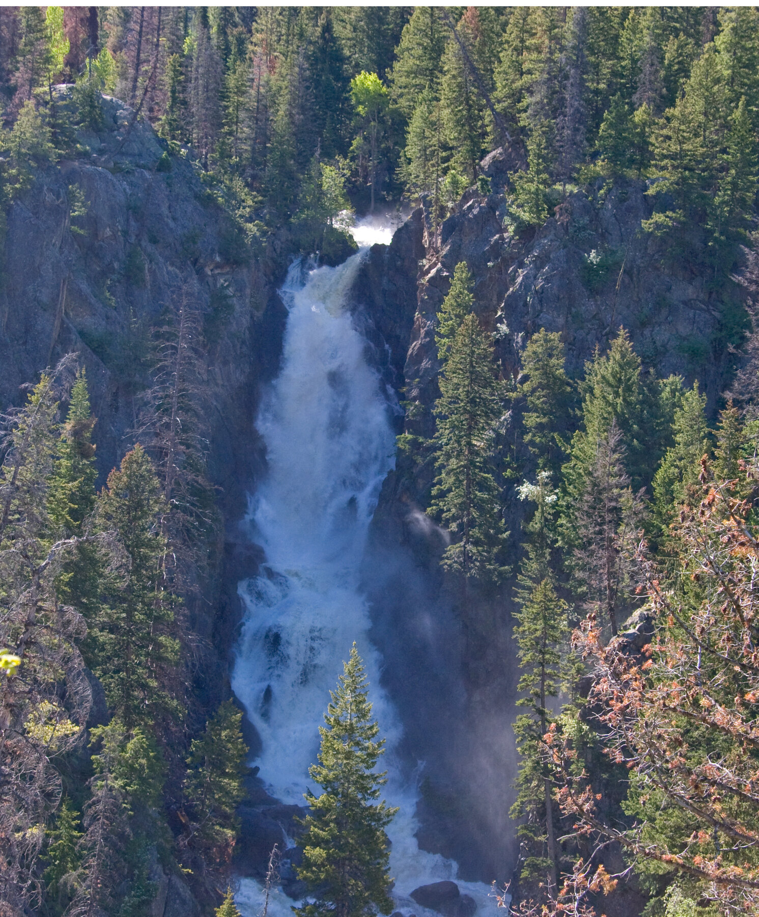 Fish Creek Falls, CO