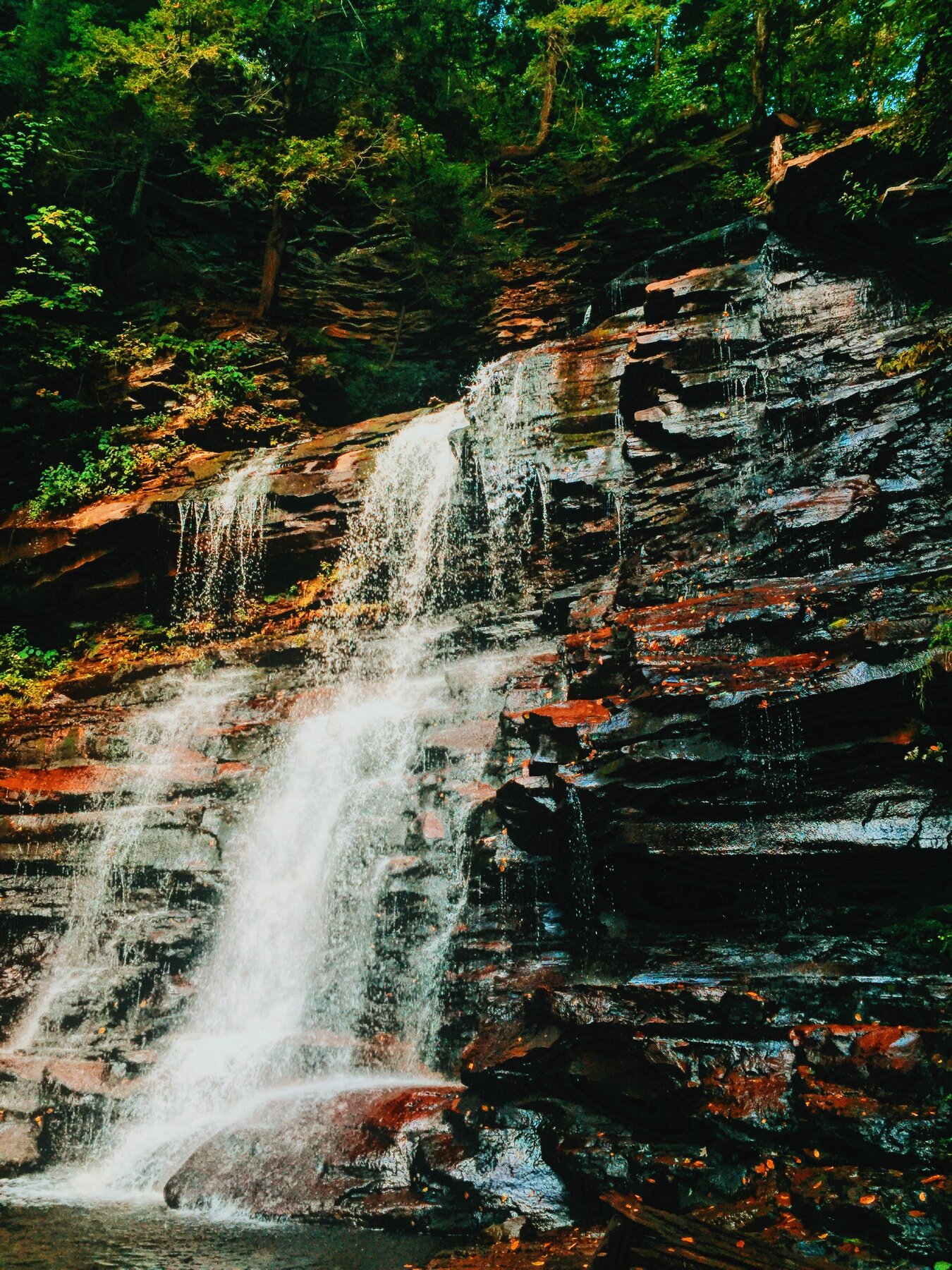 Ganoga Falls