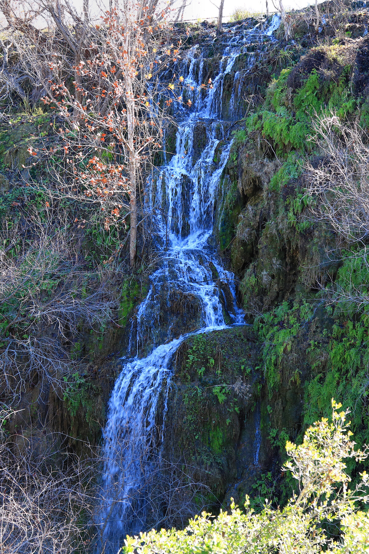 Gorman Falls, TX